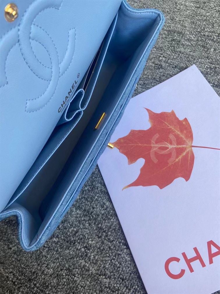 Classic Handbag Printed Denim & Gold-Tone Metal - CB002