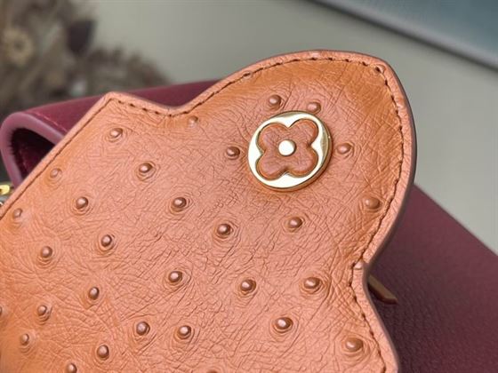 Capucines Mini handbag Griotte Red Honey - LB038