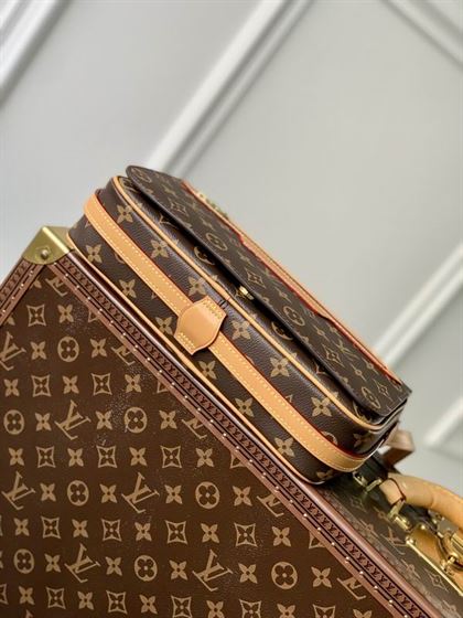 Cité bag Monogram coated canvas - LB053