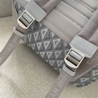 rider backpack dior gray cd Di*m*nd canvas - db026