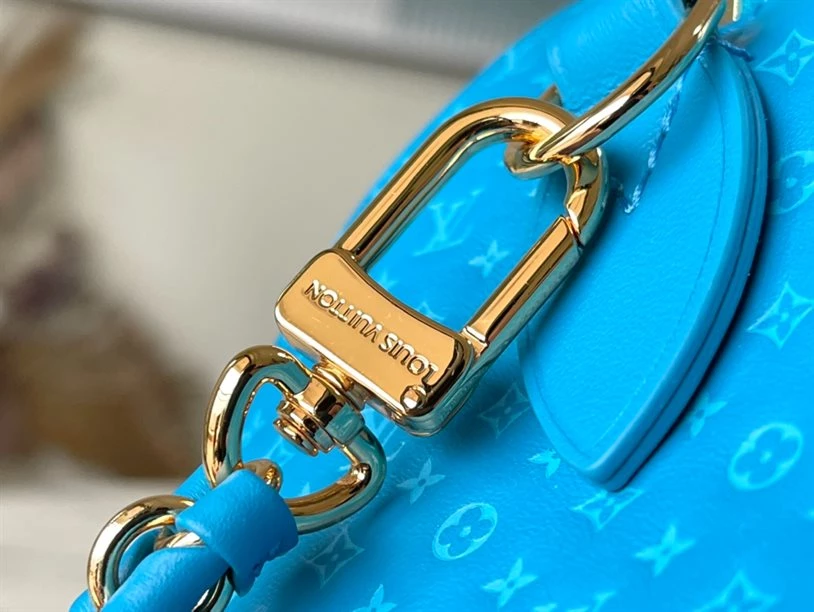 Speedy Bandoulière 20 Fashion Leather - LB215