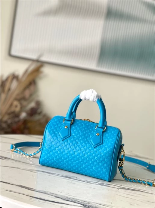 Speedy Bandoulière 20 Fashion Leather - LB215