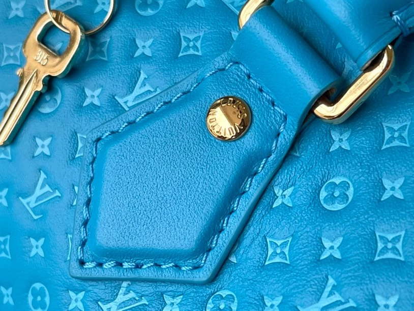 Speedy Bandoulière 20 Fashion Leather - LB215