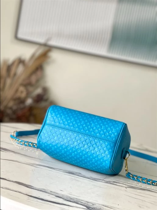 Speedy Bandoulière 20 Fashion Leather - LB215