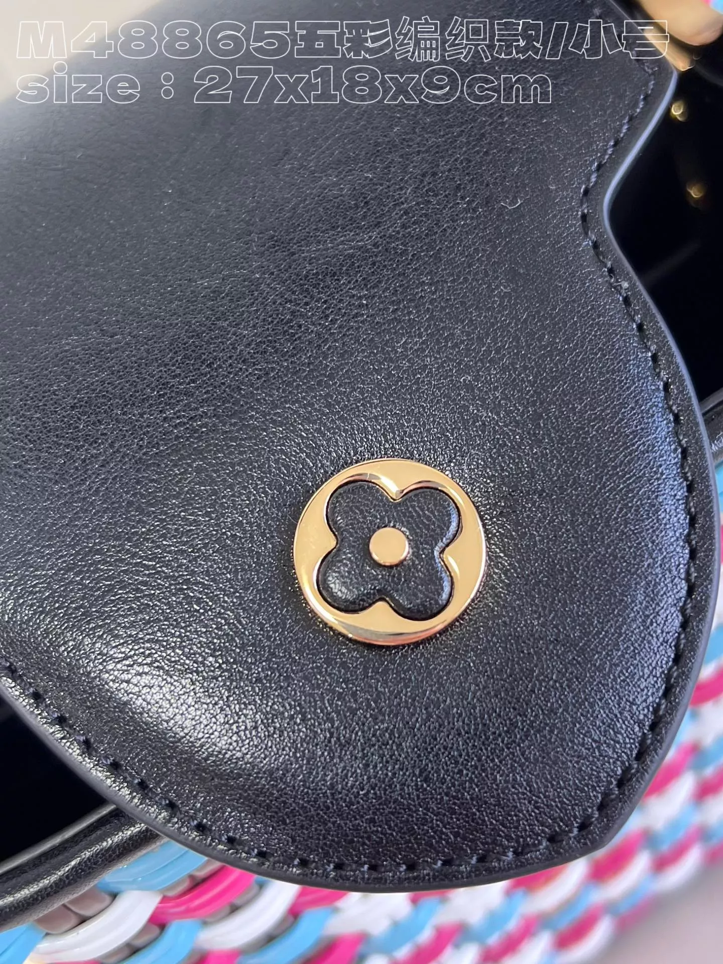 Louis Vuitton Capucines BB Canvas Bag