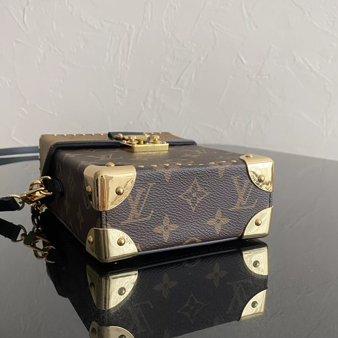 LV Camera Monogram Box Bag