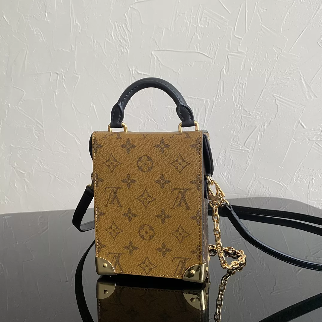LV Camera Monogram Box Bag
