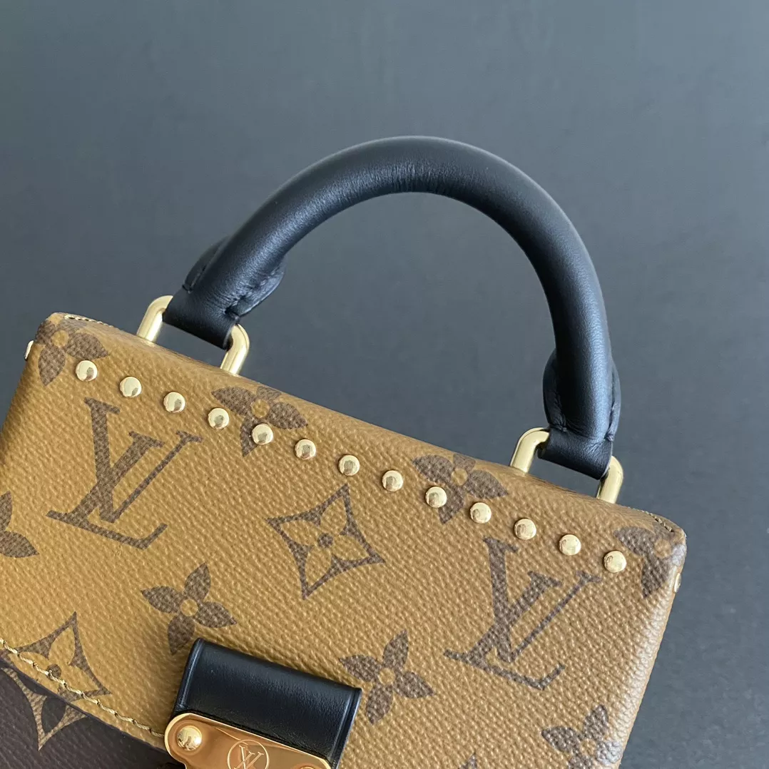 LV Camera Monogram Box Bag