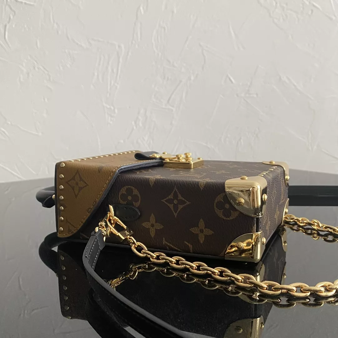 LV Camera Monogram Box Bag