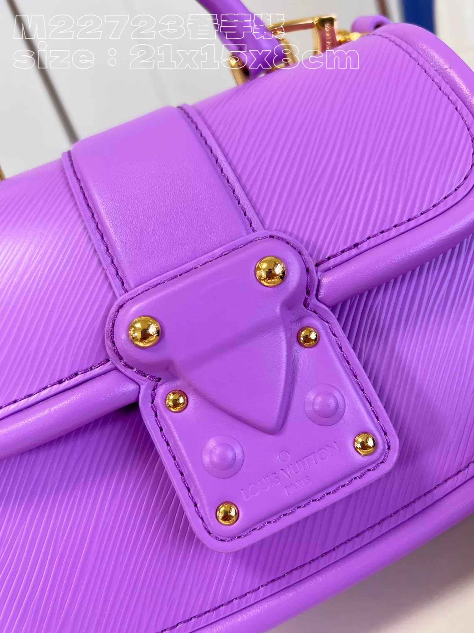 Louis Vuitton Hide and Seek Epi Purple