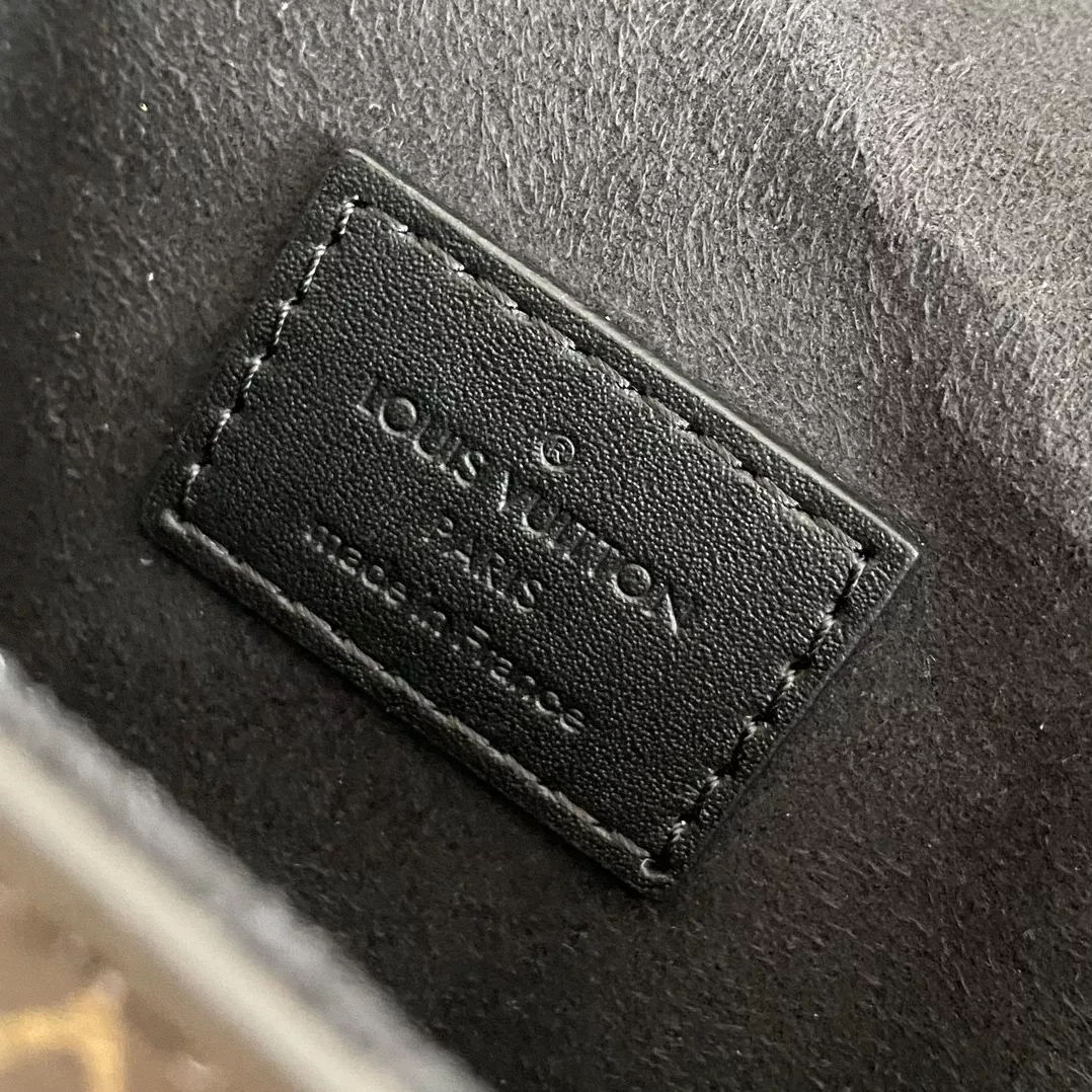 LV Camera Monogram Box Bag