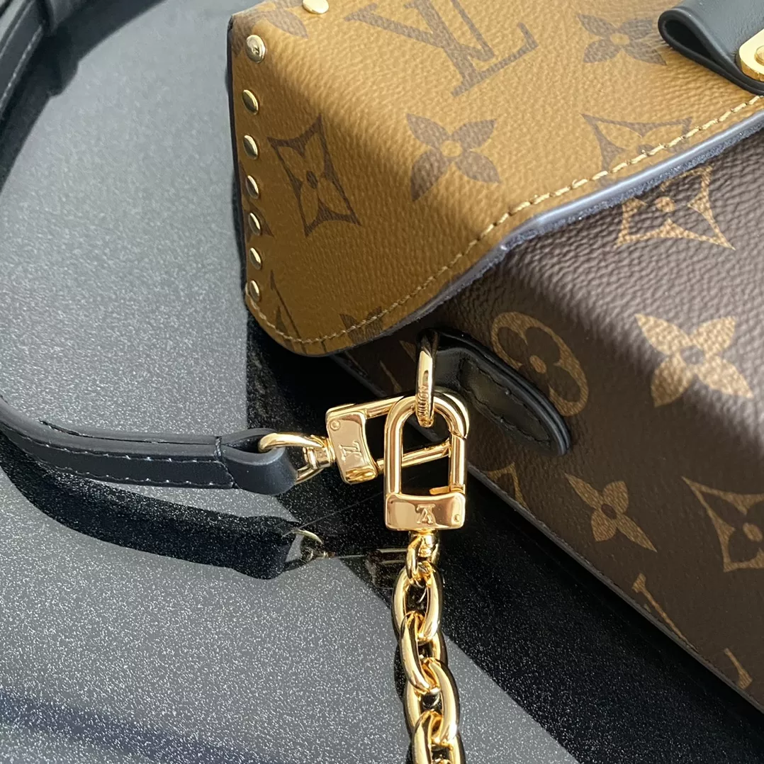 LV Camera Monogram Box Bag