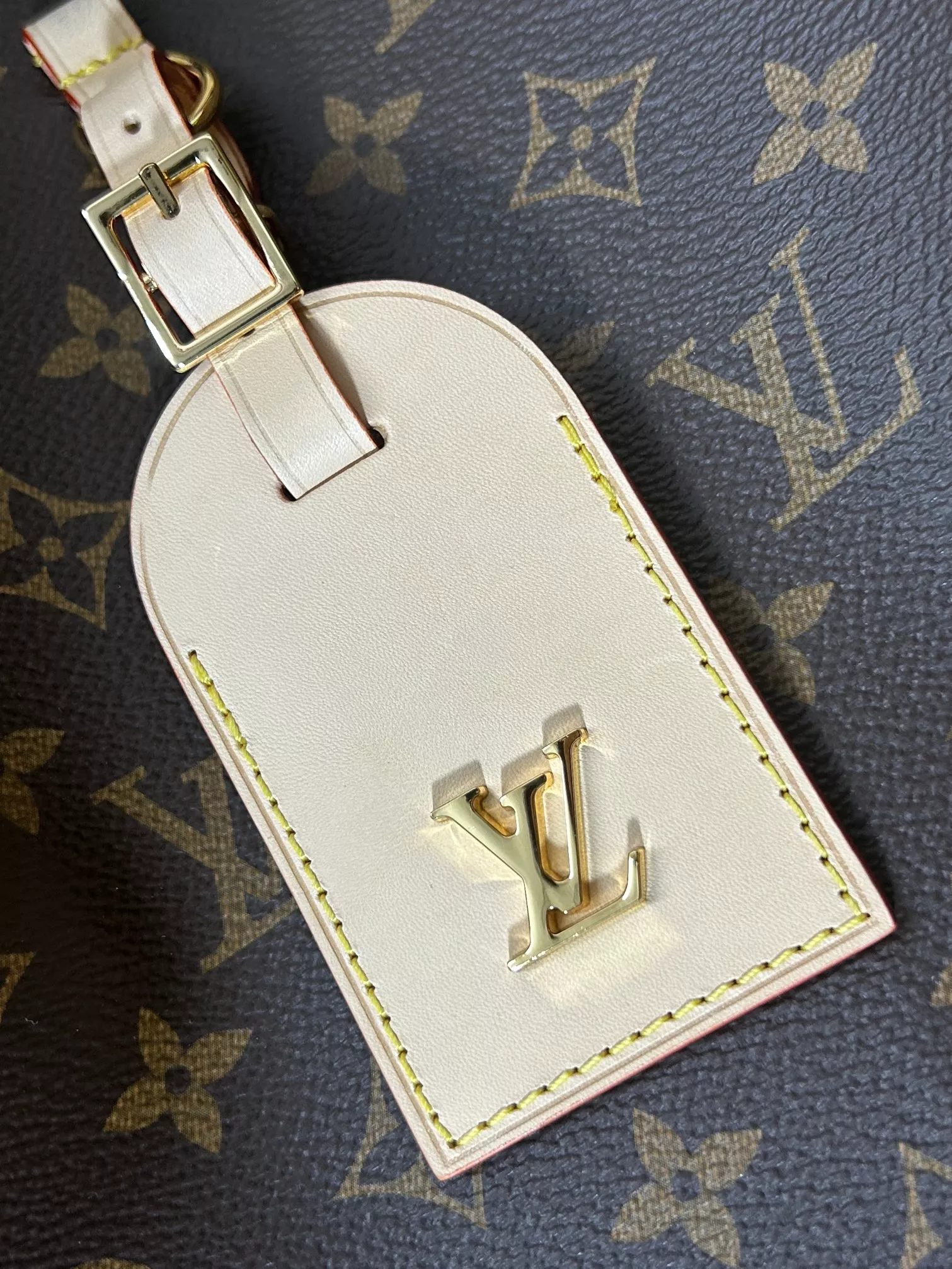 Louis Vuitton Atlantis GM in Coated Canvas with Gold-tone