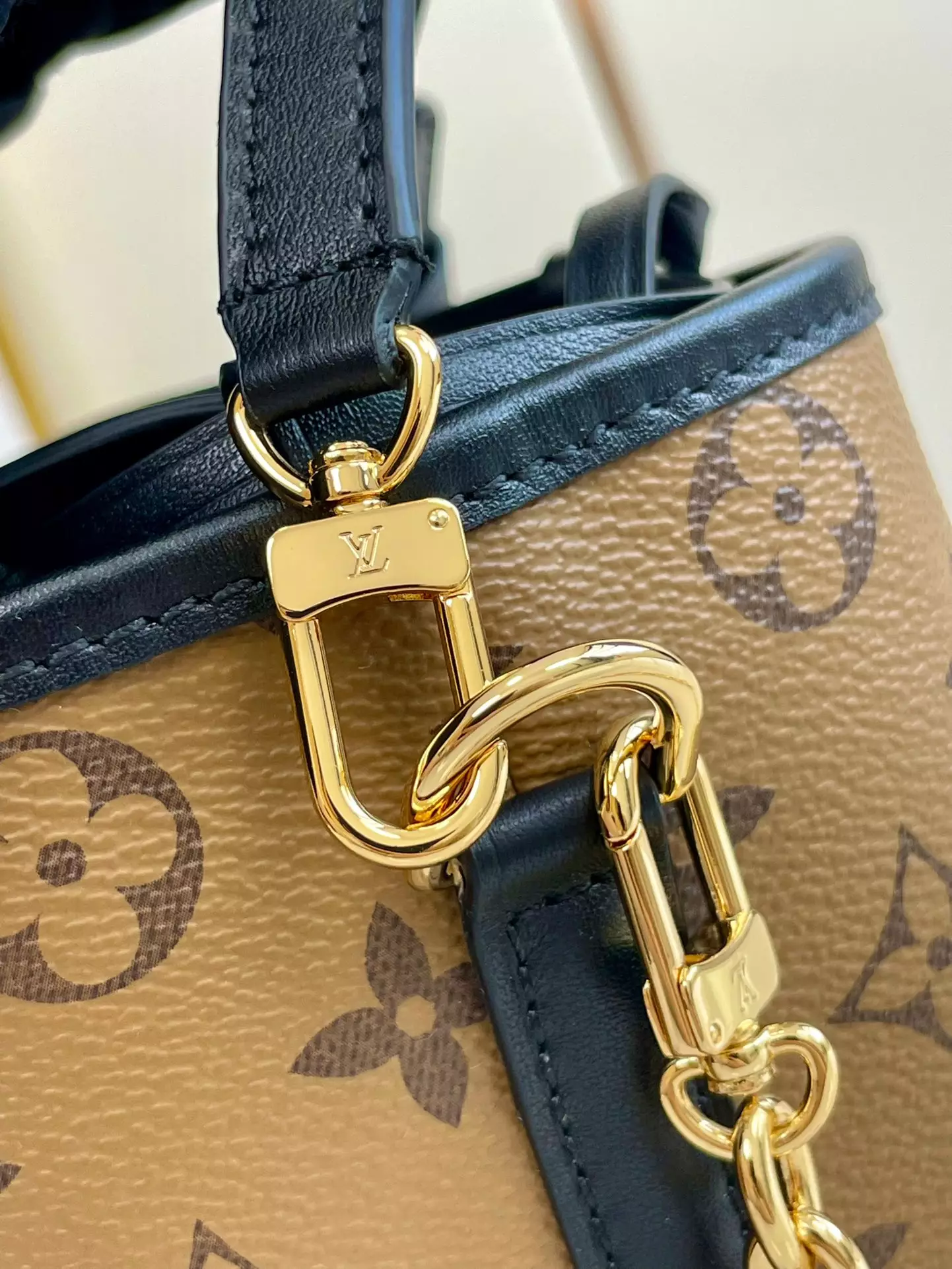 Noé Purse LV Charms Monogram Reverse Canvas
