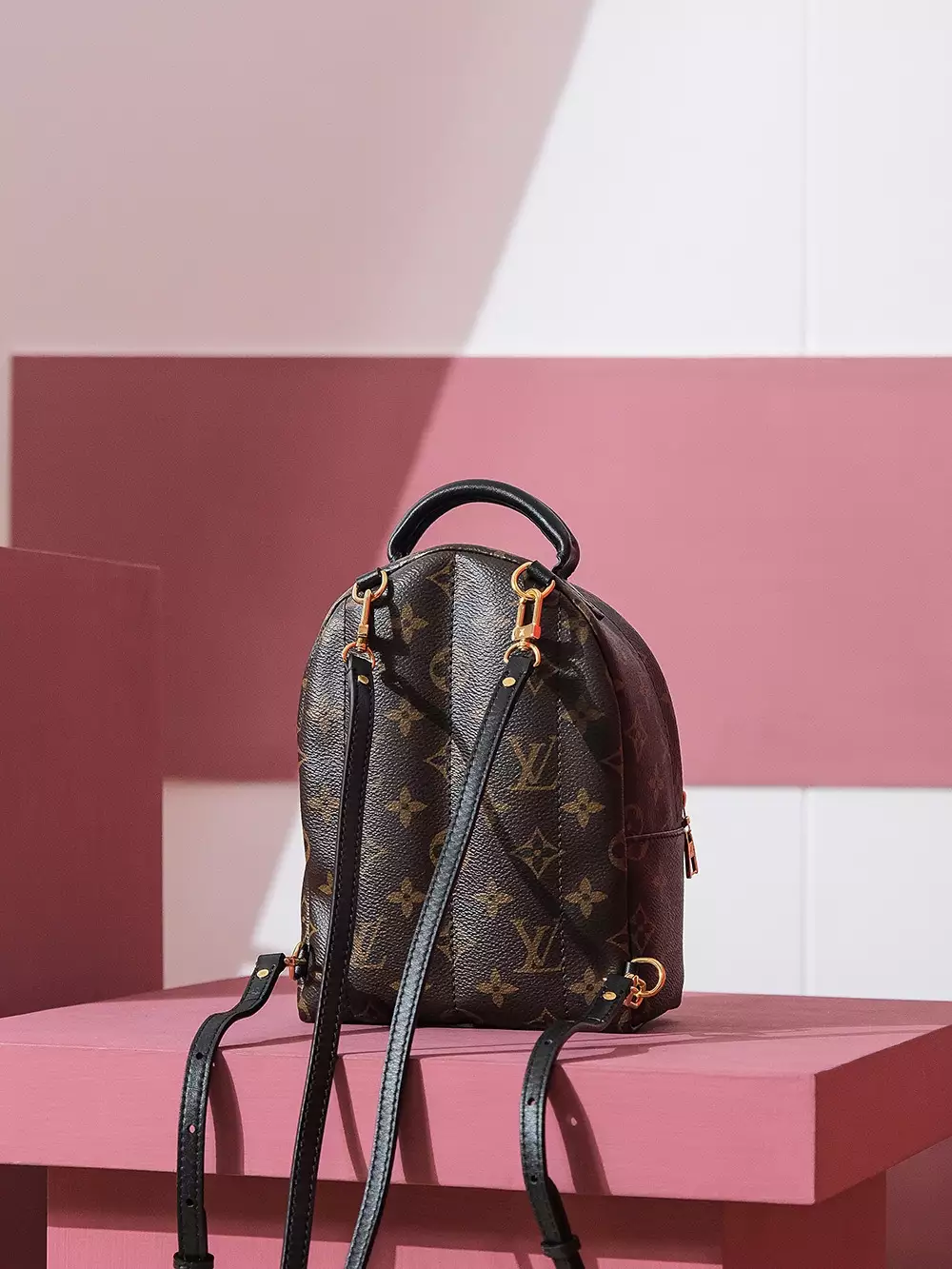 LV Palm Springs Mini Backpack Monogram Brown