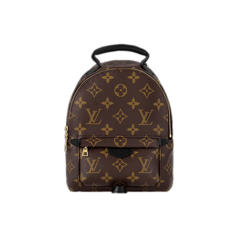 LV Palm Springs Mini Backpack Monogram Brown