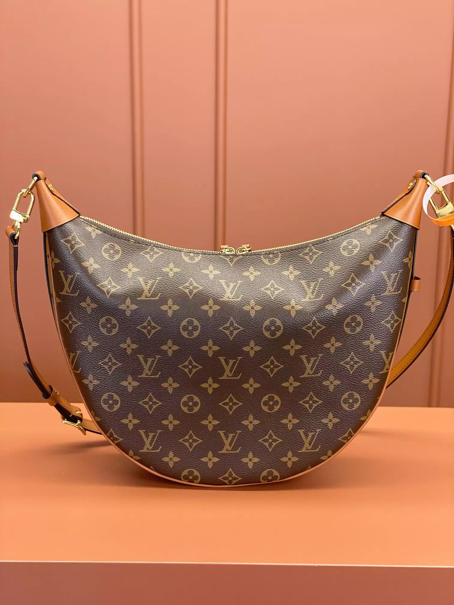 Loop Hobo Monogram and Monogram Reverse Coated Canvas