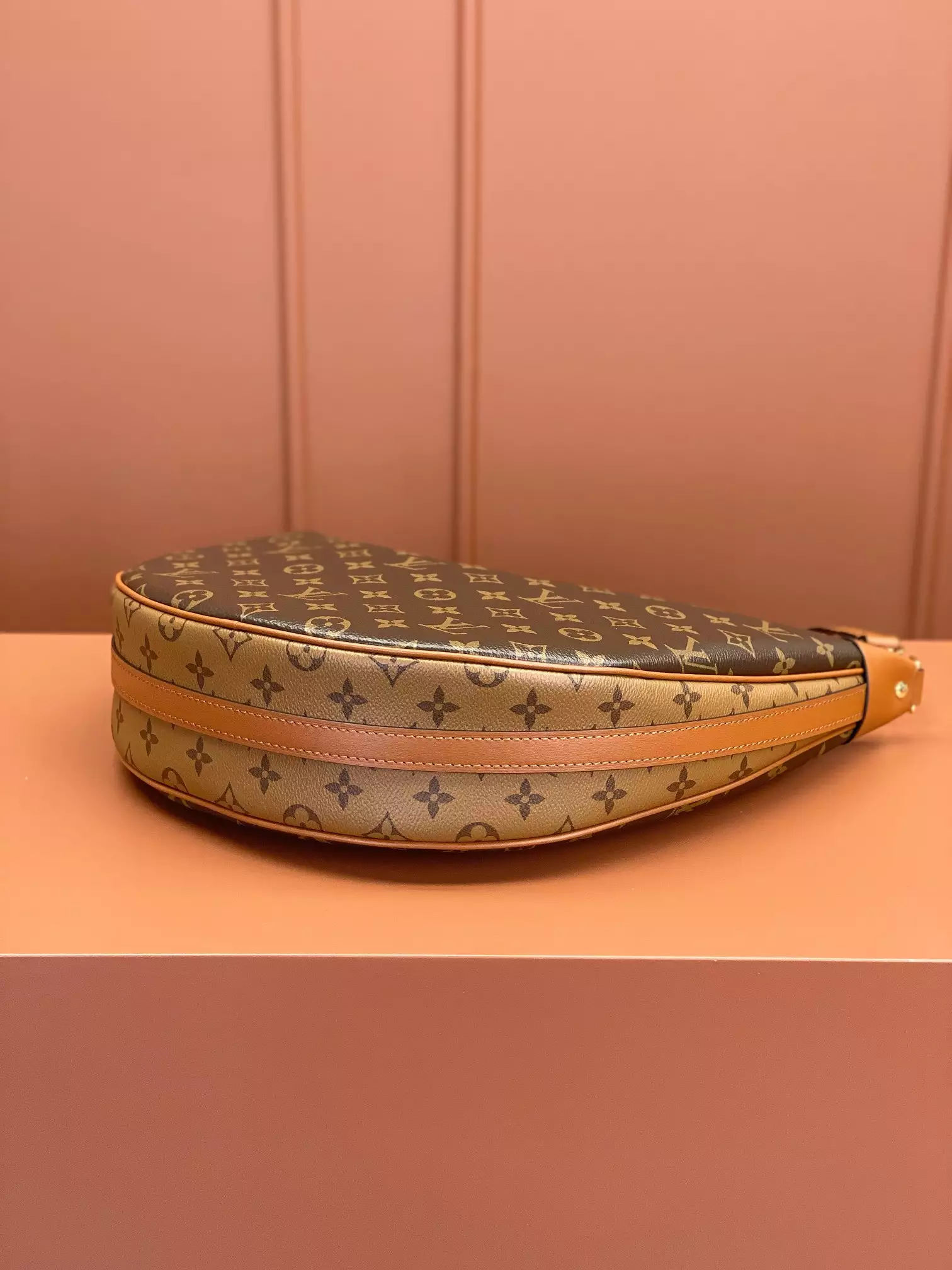 Loop Hobo Monogram and Monogram Reverse Coated Canvas