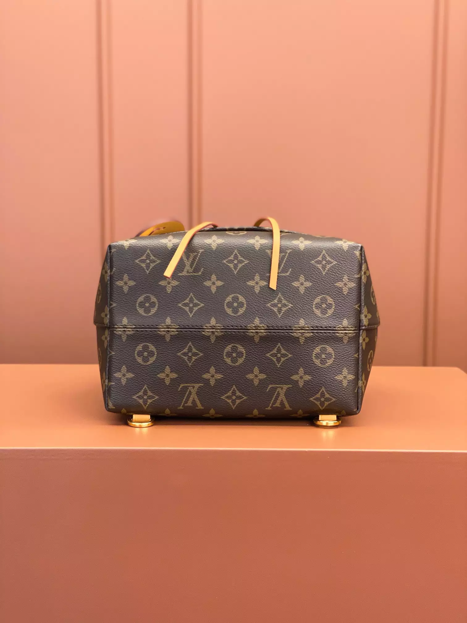 Louis Vuitton Montsouris PM ‘Brown’