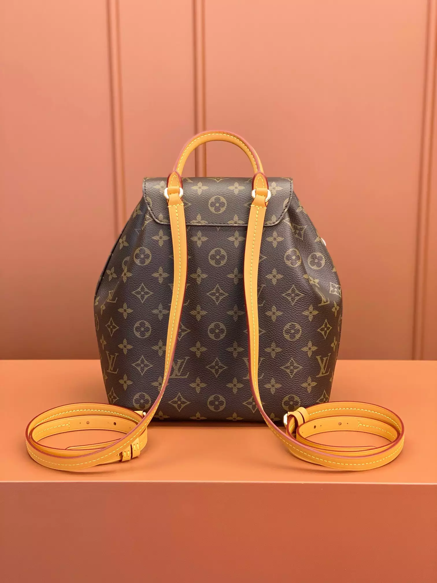 Louis Vuitton Montsouris PM ‘Brown’