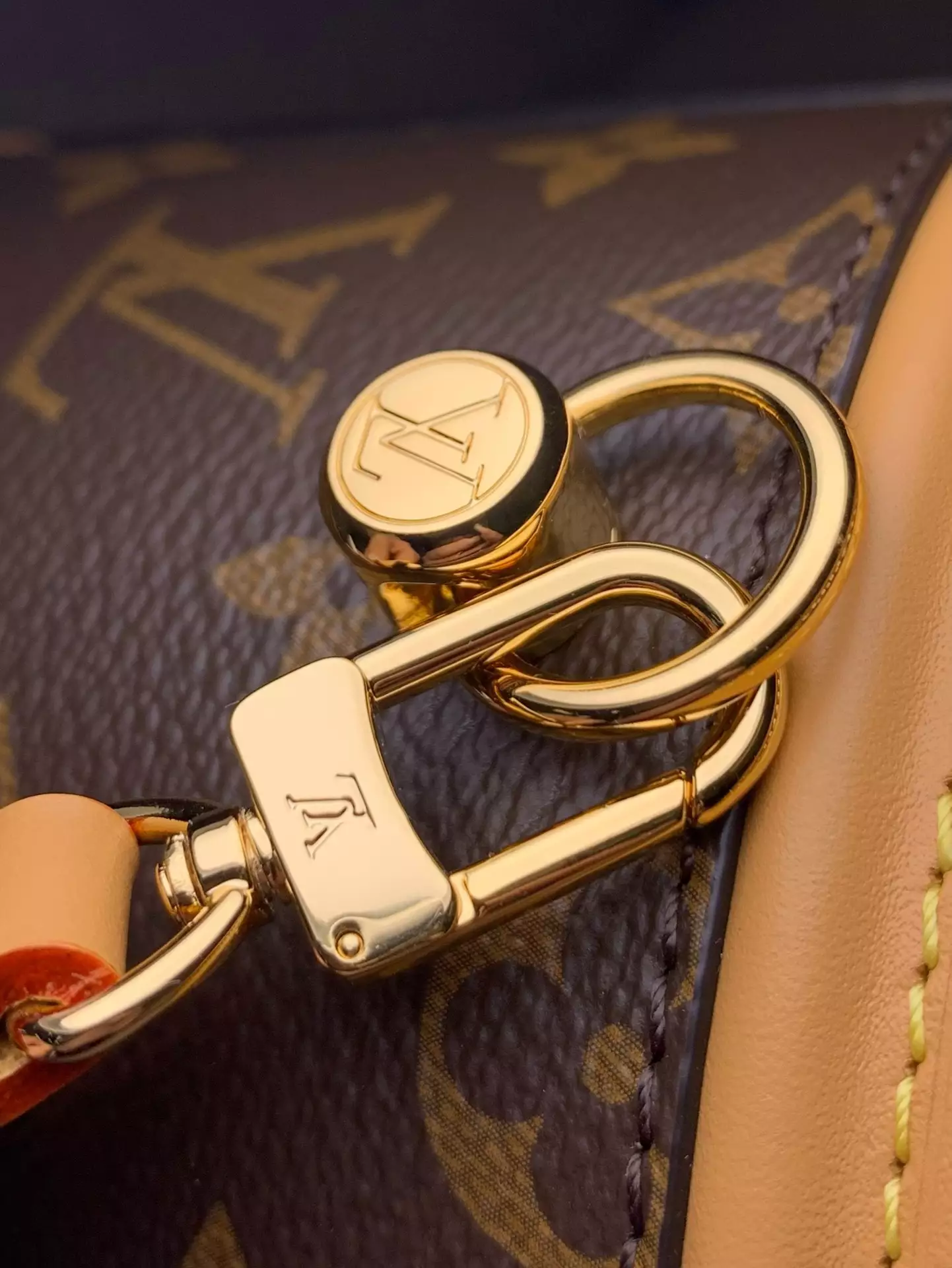 Louis Vuitton Nano Cannes Monogram Brown