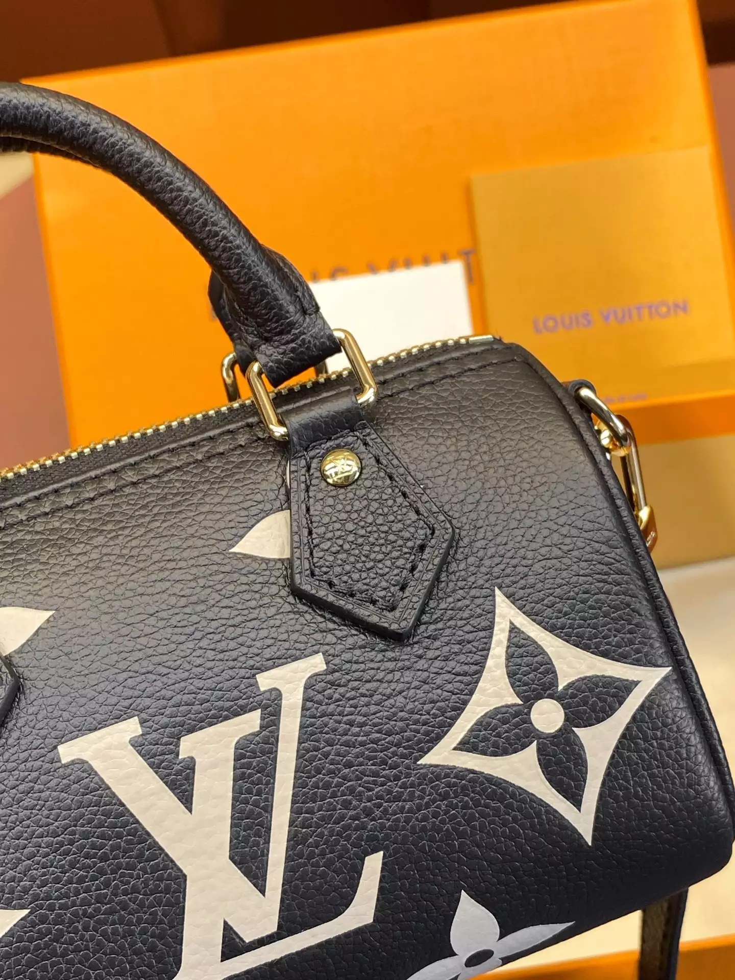 Nano Speedy Bicolor Monogram Empreinte Black/Beige Leather