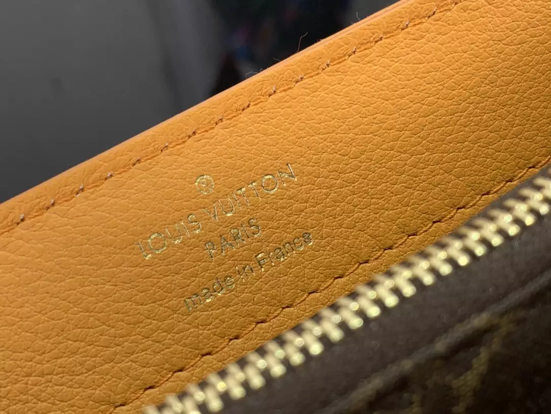 LV Dauphine Soft MM Orange Calfskin