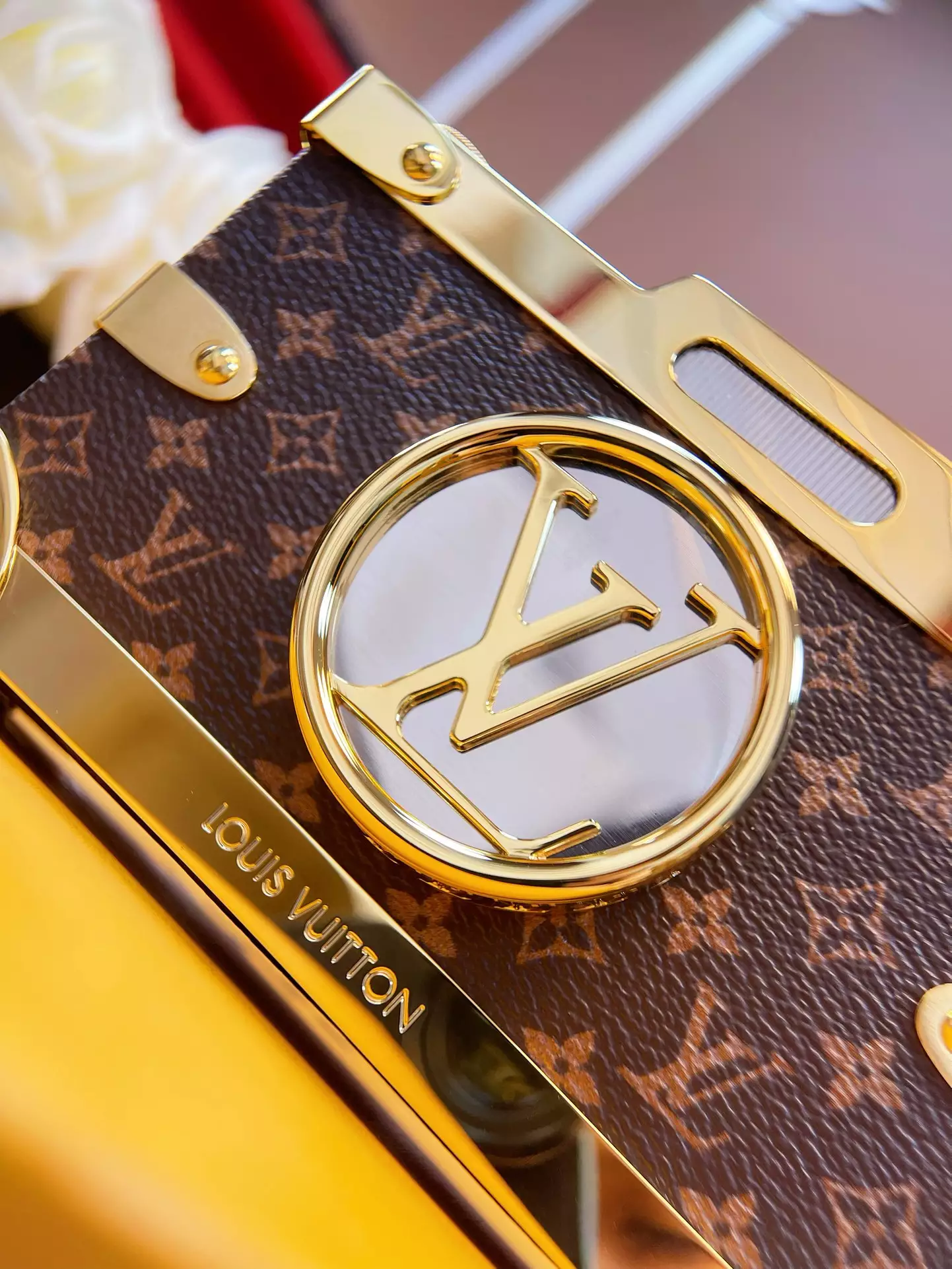 Pic Trunk Monogram Canvas Calf Leather Case