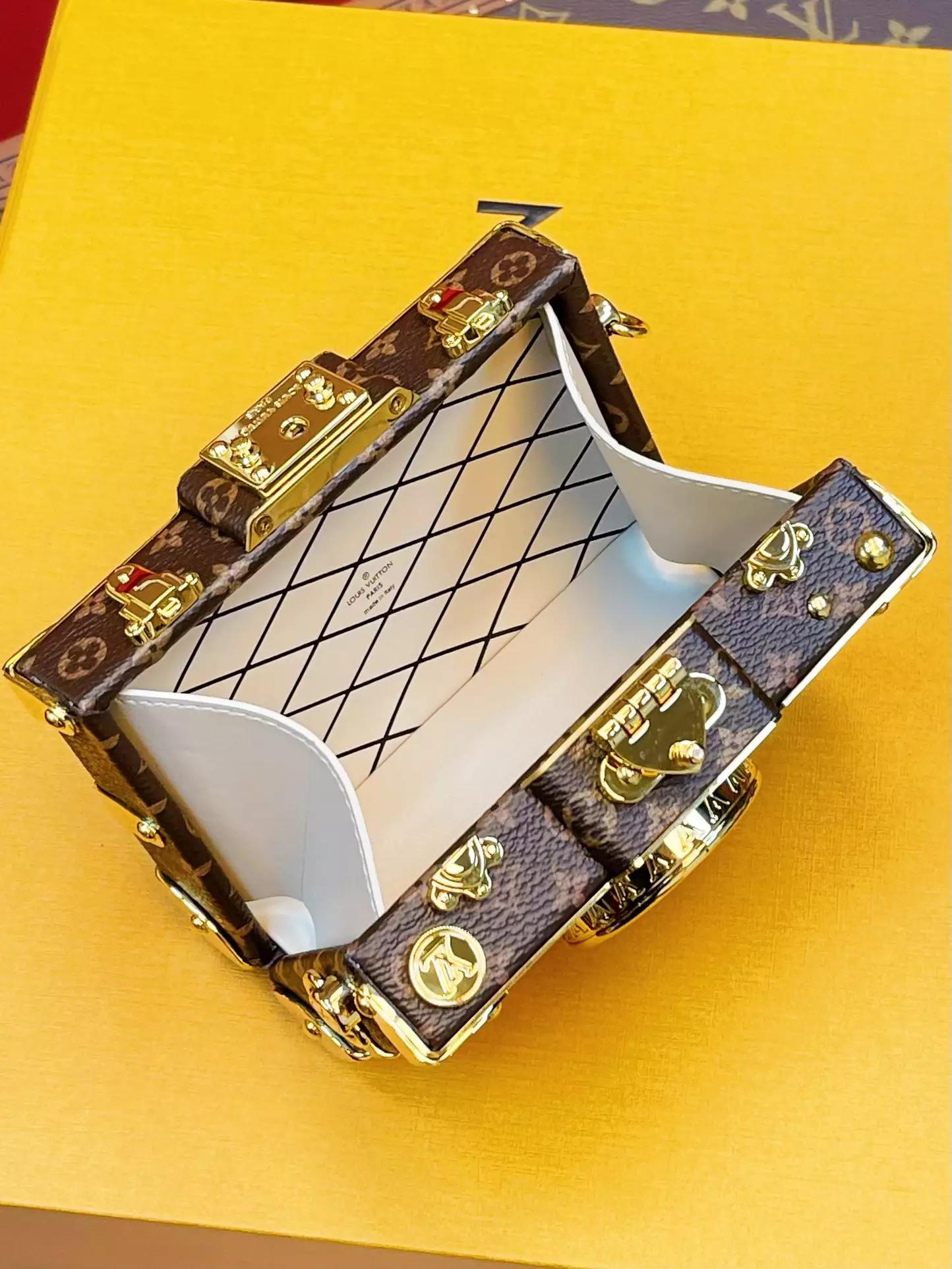 Pic Trunk Monogram Canvas Calf Leather Case