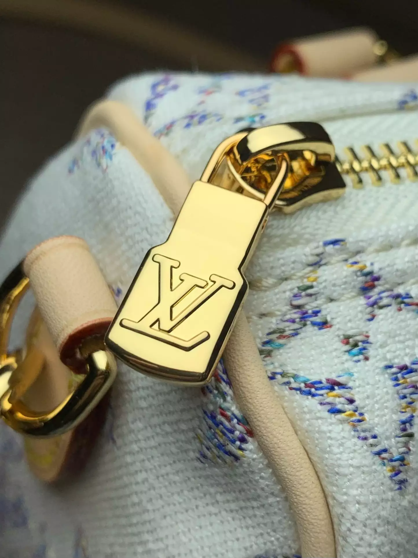 Speedy Bandoulière 20 Multicolor Beige Monogram Jacquard Fabric