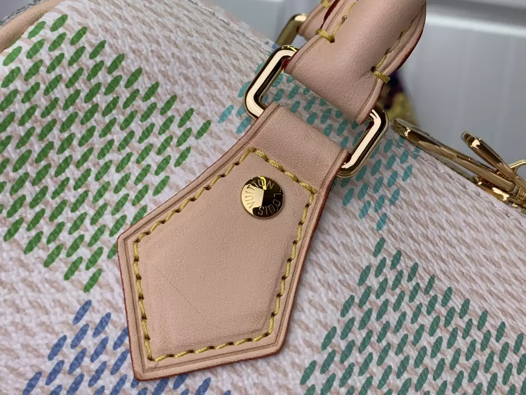 Speedy Bandoulière 20 Pistachio Damier Giant Canvas