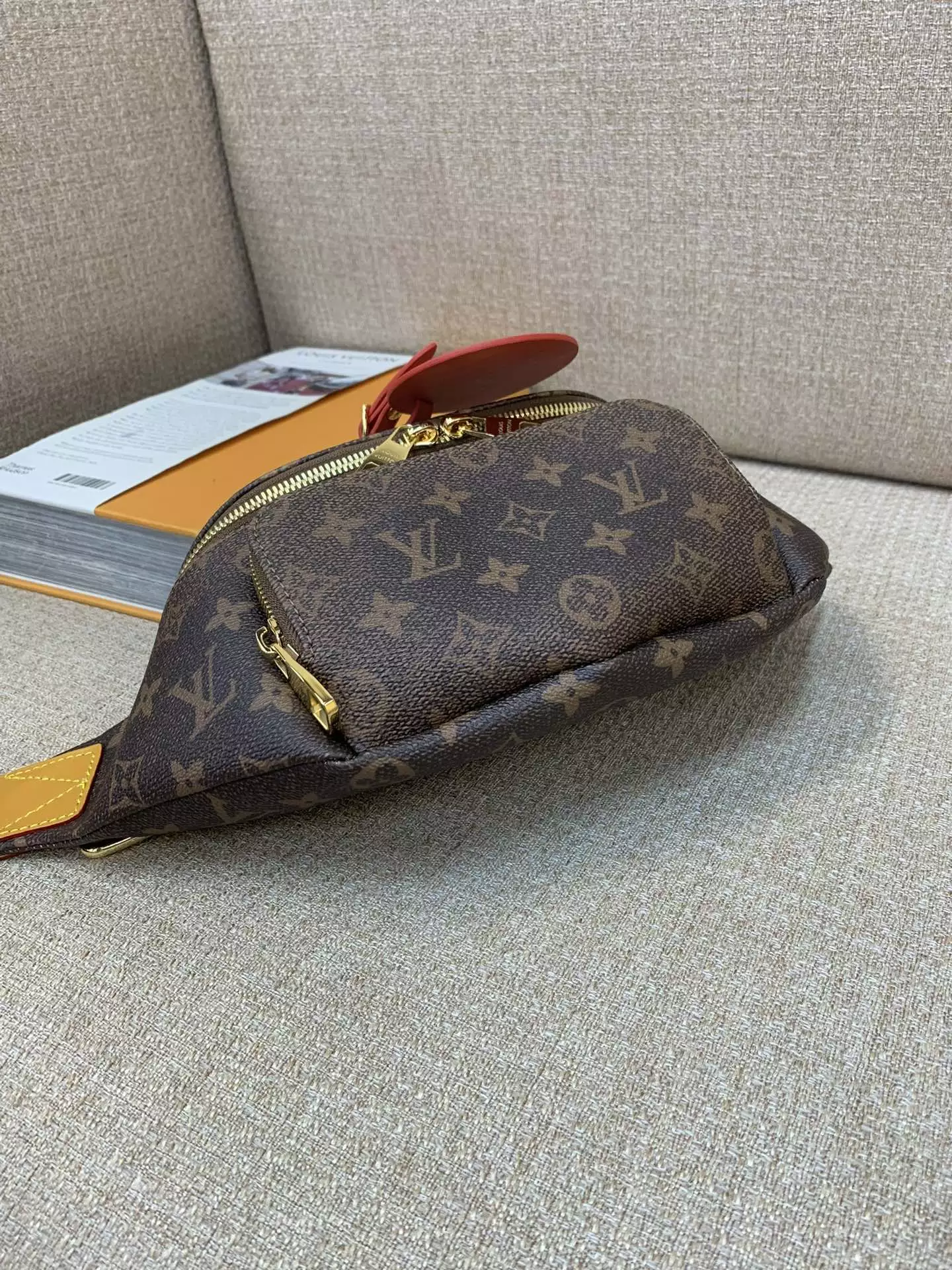 Louis Vuitton Rush Bumbag Monogram Dust Canvas