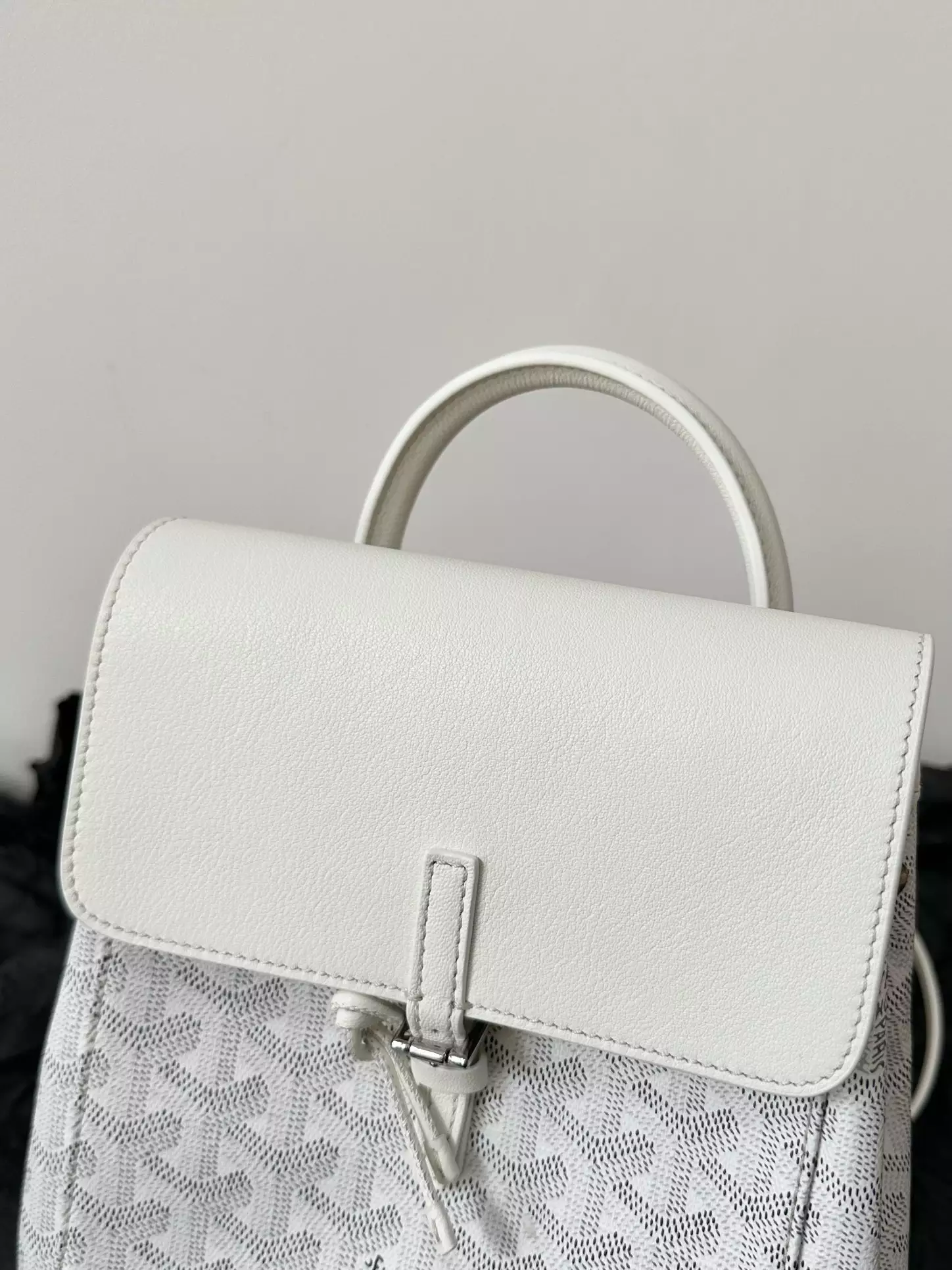 Goyard Alpin Mini Backpack - GYB212