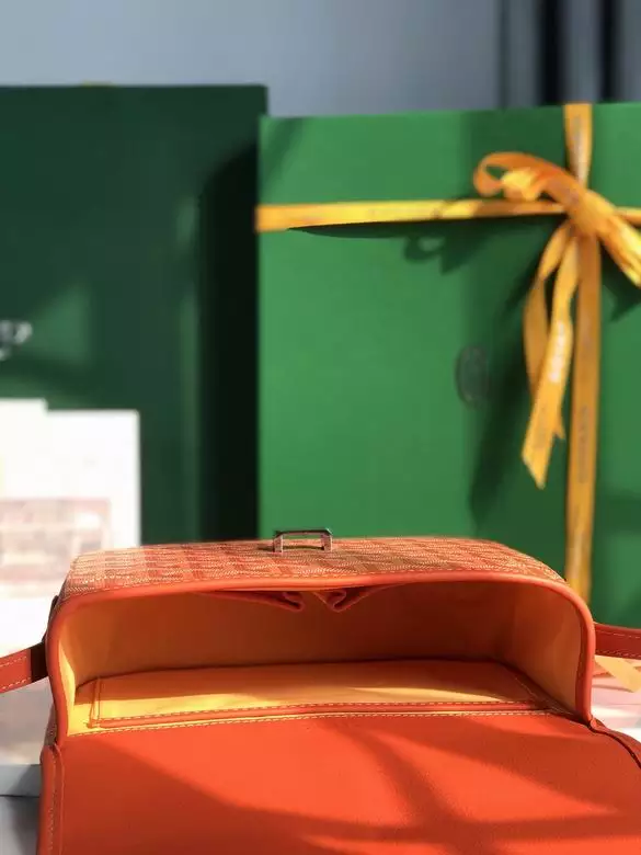 Goyard Belvedere PM Bag - GYB045