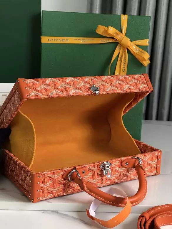 Goyard Grand Hôtel Trunk Bag - GYB272