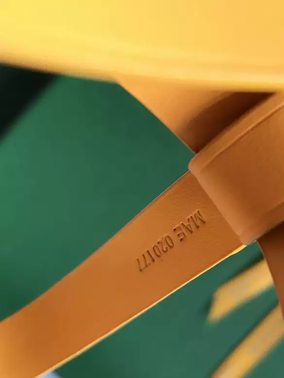 Goyard Minaudière Trunk Bag - GYB153